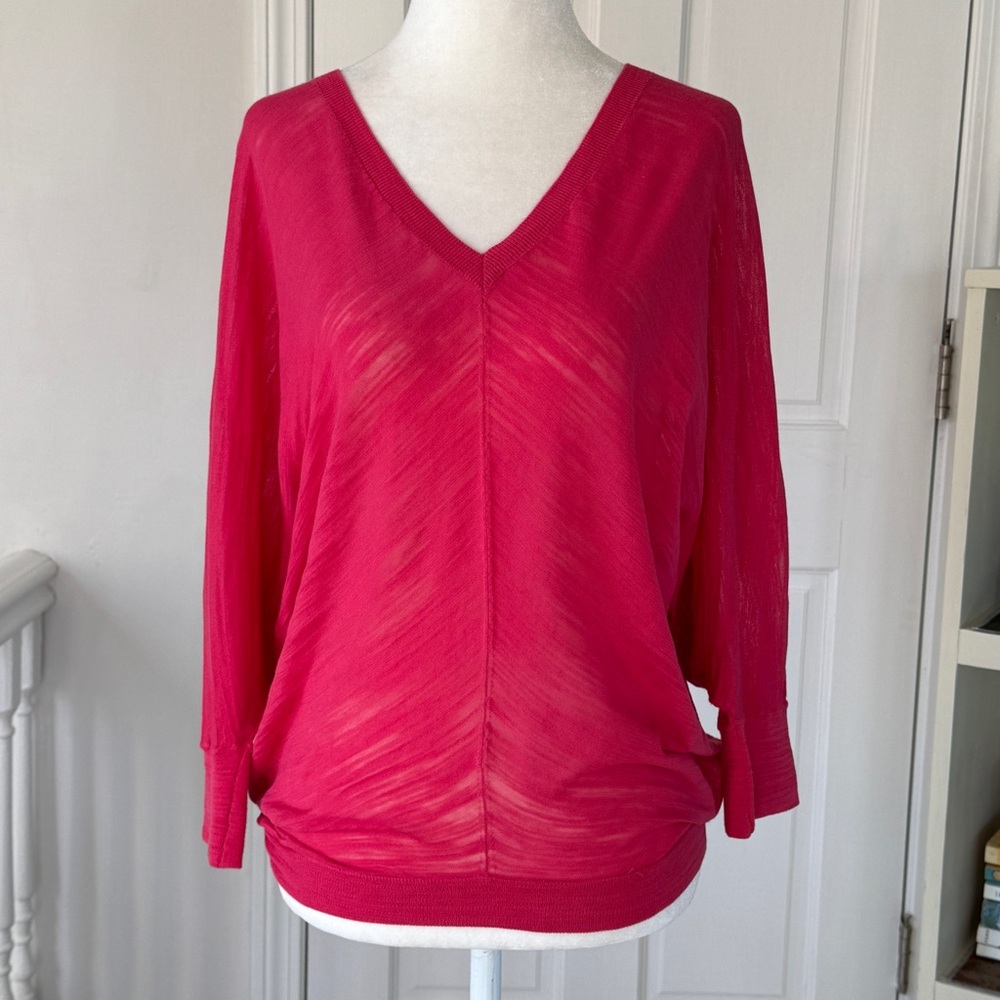 Escada Sport V Neck Sweater with Burnt Velvet Detail and Dolman Sleeves (size S)
